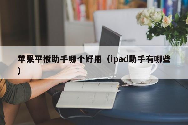 苹果平板助手哪个好用（ipad助手有哪些）